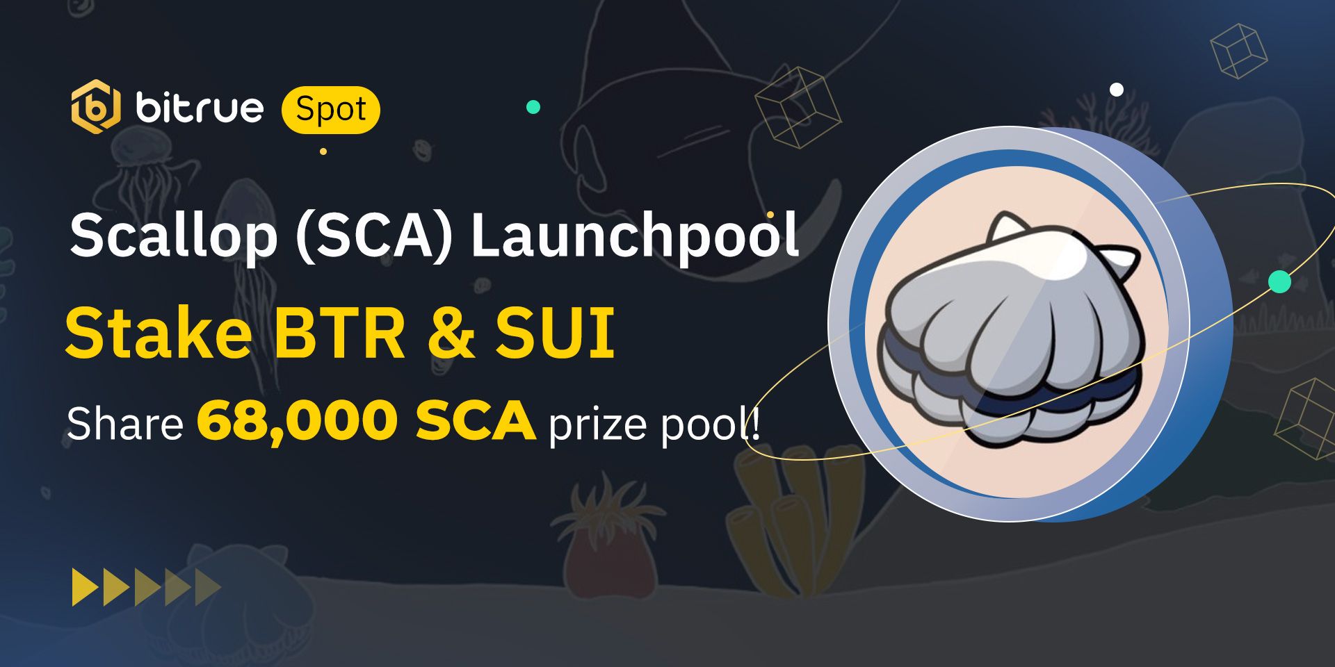 What is WOO (WOO) in Crypto?