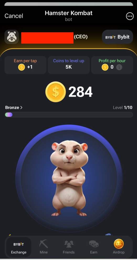 What Is A Hamster Kombat Coin?