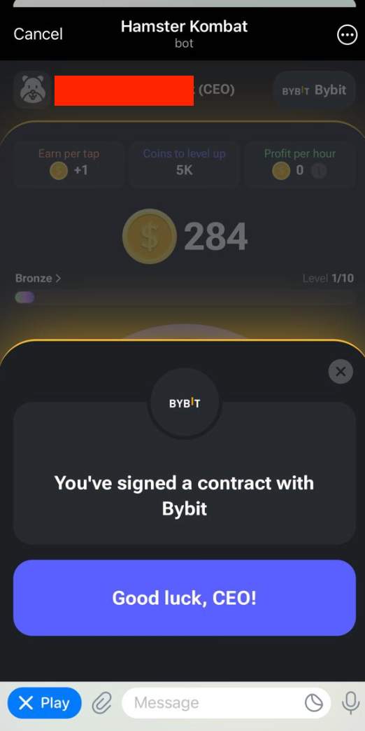 What Is A Hamster Kombat Coin?