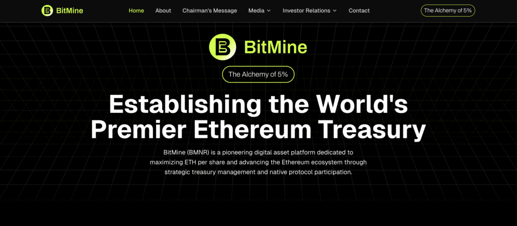 What is BitMine Immersion Technologies (BMNR)?