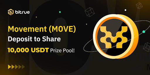 Wise Monkey (MONKY): The Memecoin of Wisdom, Culture, and Community Power