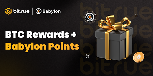 Wise Monkey (MONKY): The Memecoin of Wisdom, Culture, and Community Power