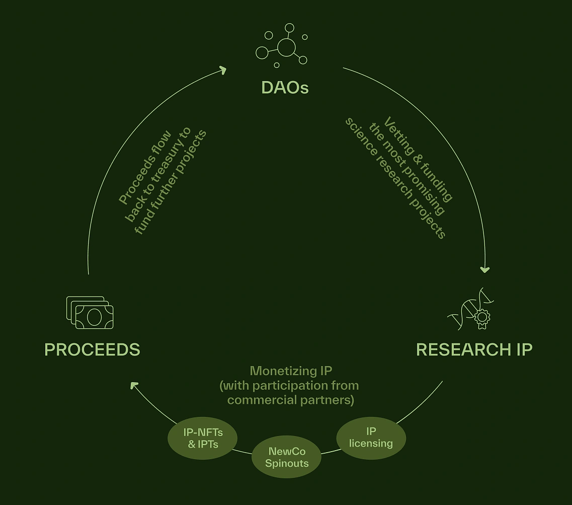 What Is BIO Protocol: A Binance Labs-Backed DeSci Project