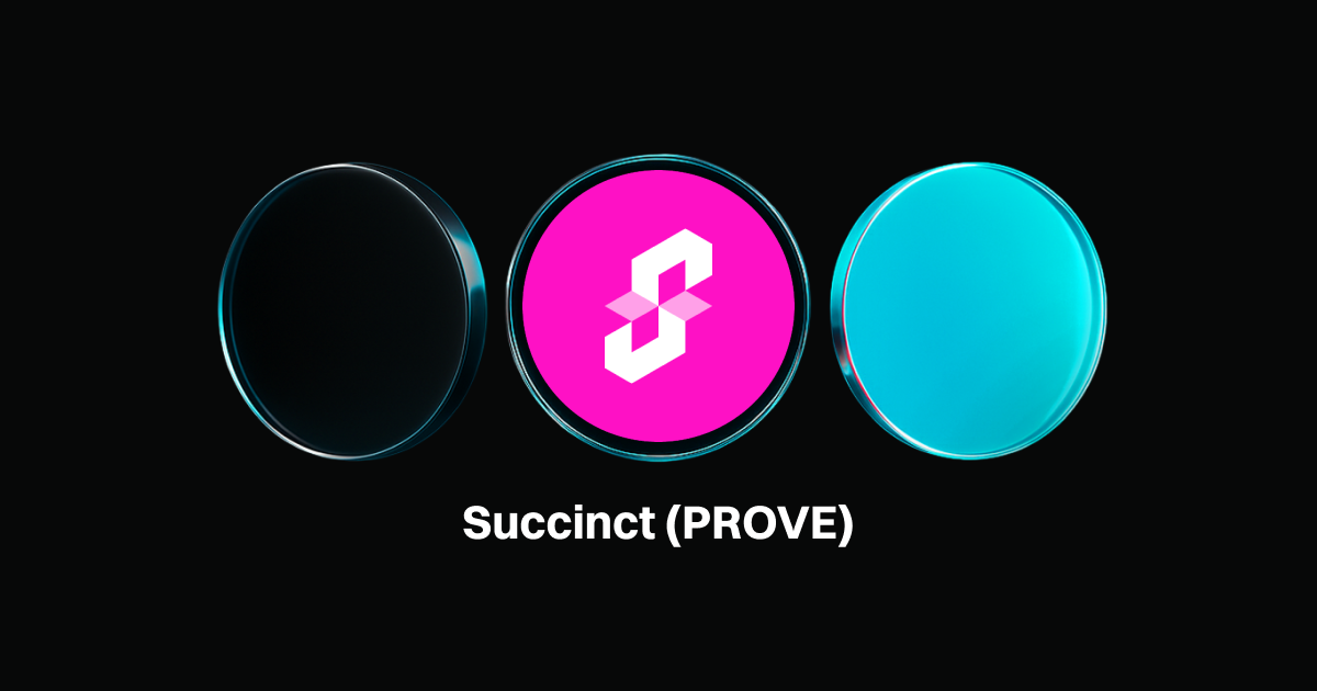 Succinct Crypto — A Beginner’s Guide to the Decentralized ZK Proving Network