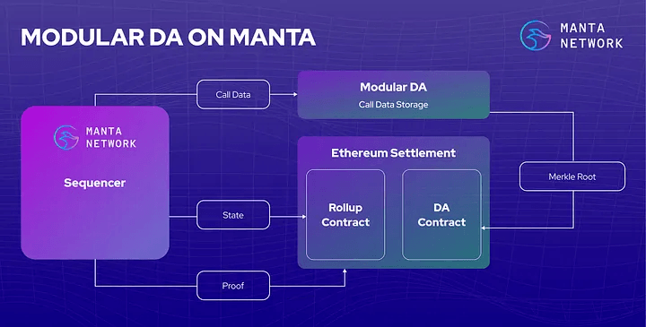 What Is Manta Network? The Modular Ecosystem for ZK Applications