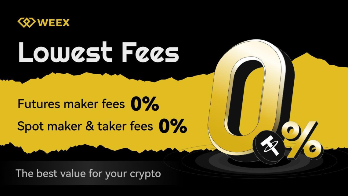 Weex Exchange: A Legit Platform? Detailed Review of Its Features and Security