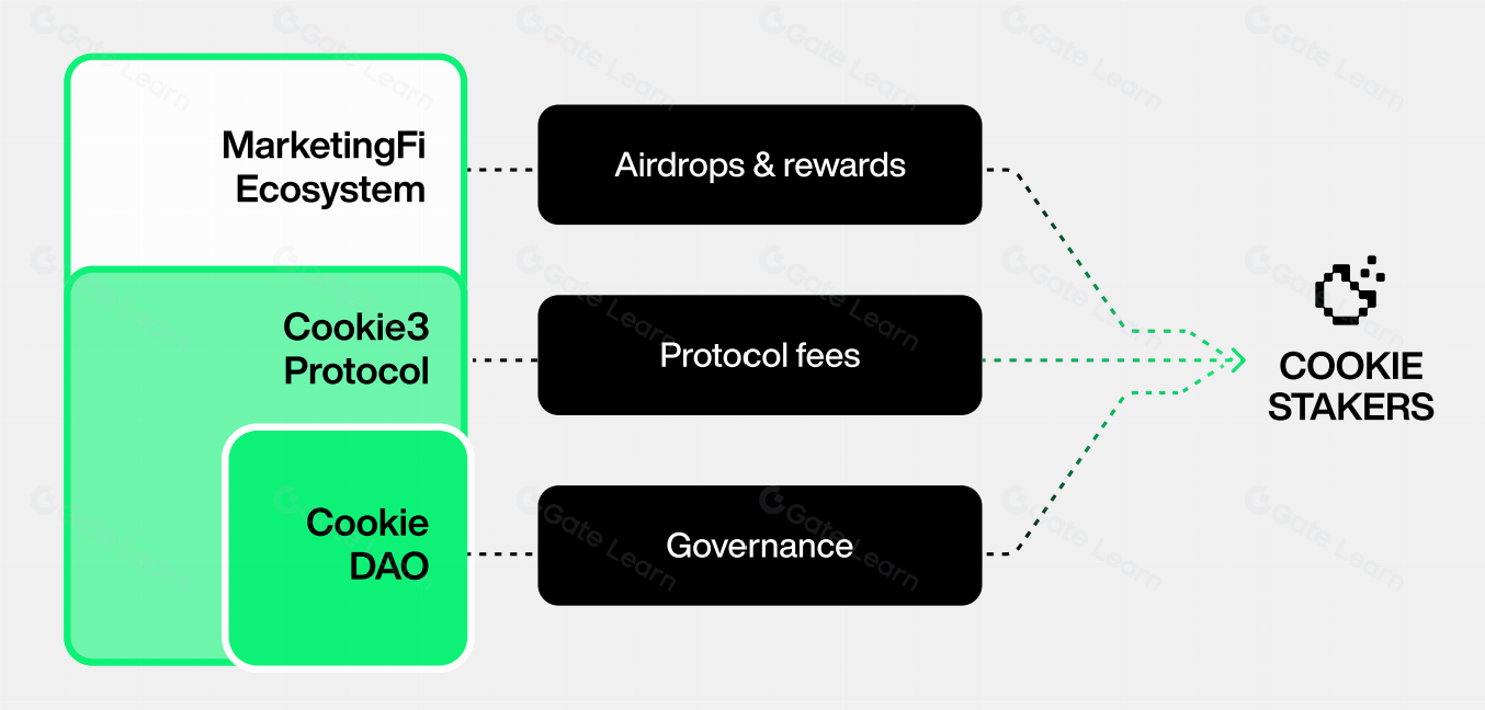 What is Cookie? All You Need to Know About COOKIE What is Cookie? All You Need to Know About COOKIE