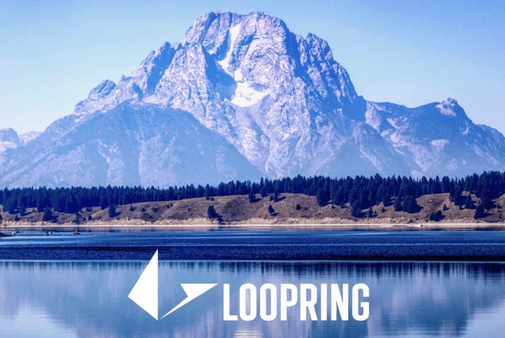 What is Loopring (LRC)? Ethereum’s Fast Exchange Protocol Explained What is Loopring (LRC)? Ethereum’s Fast Exchange Protocol Explained