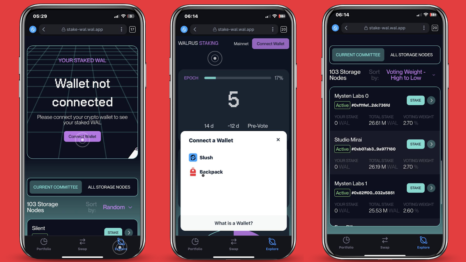 What is Walrus? A Programmable Decentralized Storage Network