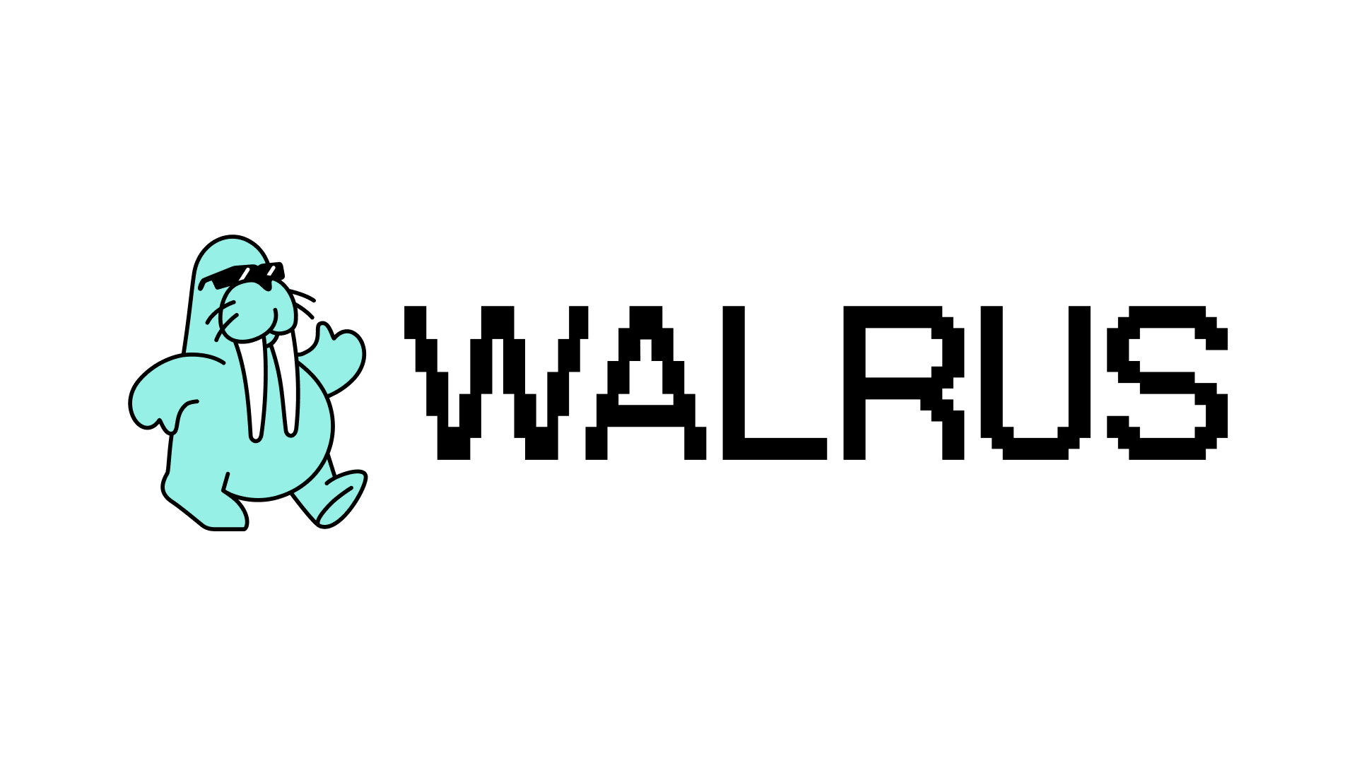 What is Walrus? A Programmable Decentralized Storage Network