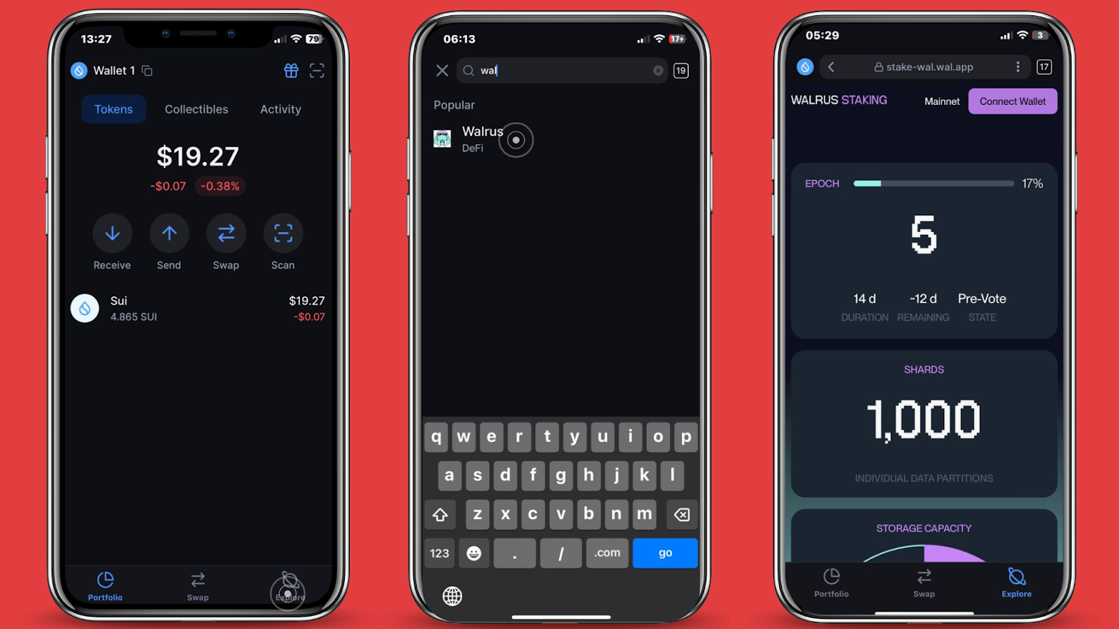 What is Walrus? A Programmable Decentralized Storage Network