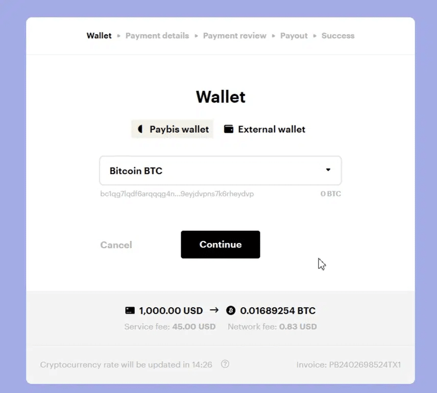Paybis Review: All You Need To Know