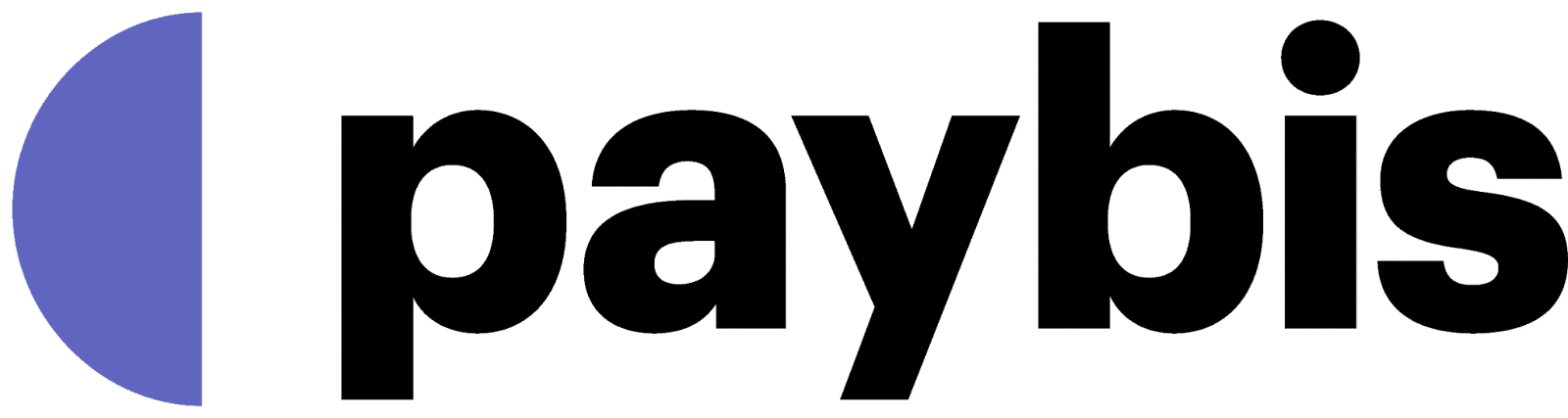 Paybis Review: All You Need To Know