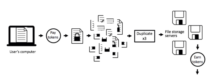 Full Guide: What is Siacoin?