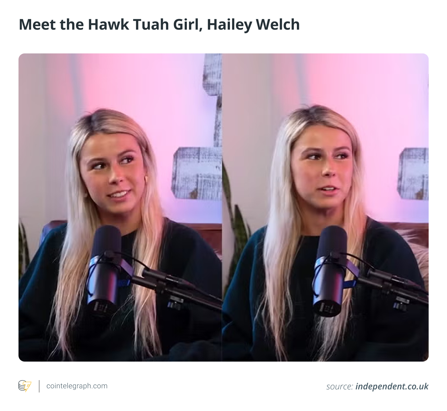 The rise and fall of Hawk Tuah: A case study in crypto scams