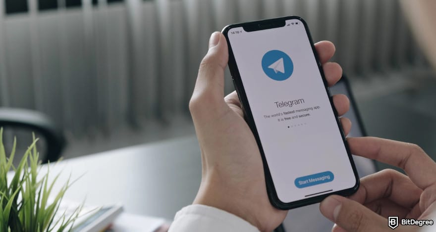 What Is Notcoin? Diving Into Gamified Crypto Experiences