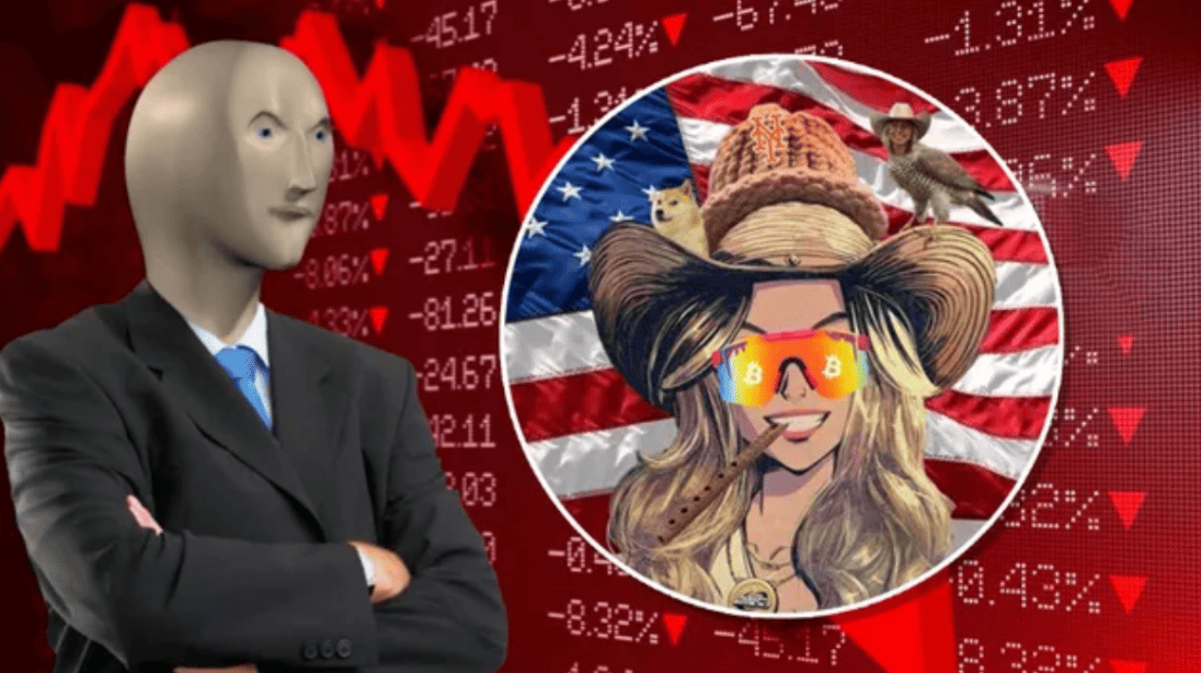 What Is $HAWK Coin? How to Buy the Hawk Tuah Meme Crypto Sensation