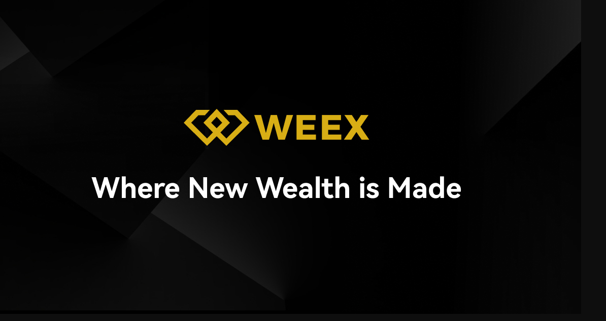 What is Beldex (BDX) Coin?