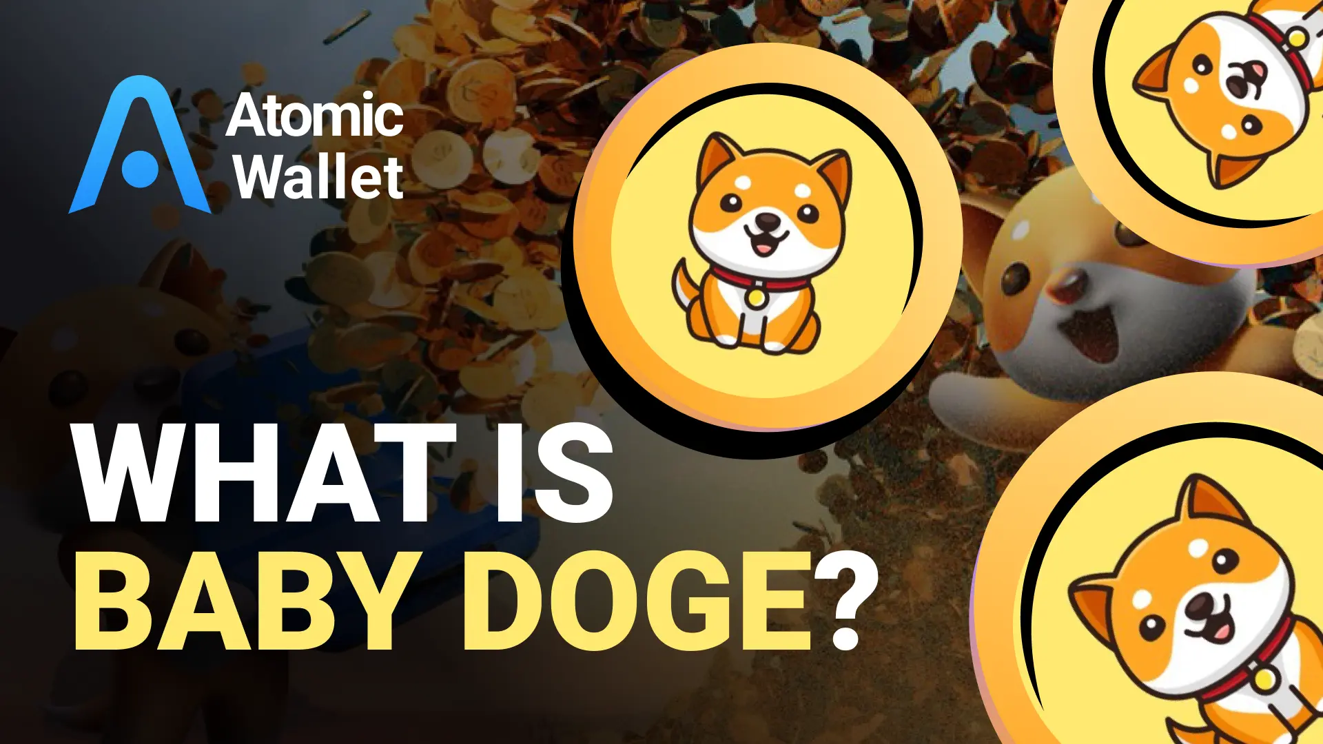 What is Baby Doge Coin and is it a good investment?