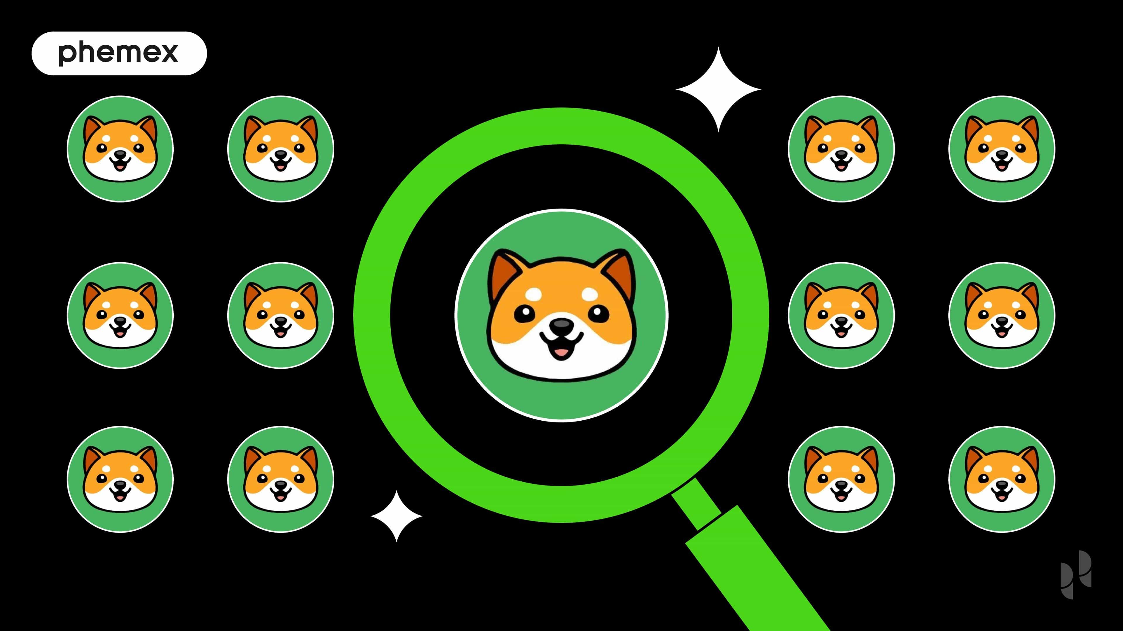 What Is Baby Doge Coin (BabyDoge)? A Guide to the Viral Meme Coin on Phemex