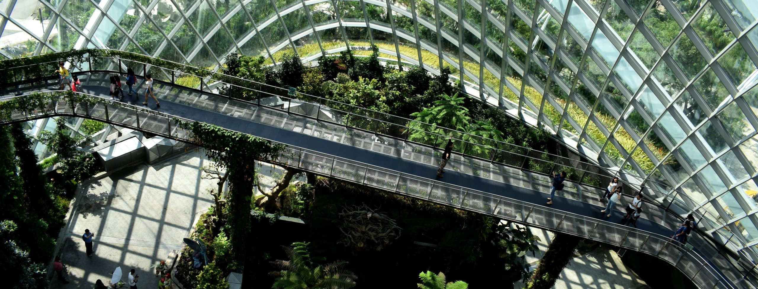 Stablecoins and the Genius Act: What you need to know