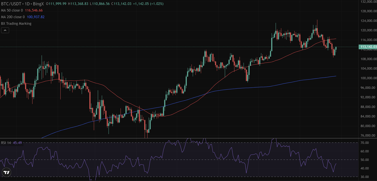 How to Use Volatility Index (VIX) to Measure Fear and Risk in Crypto