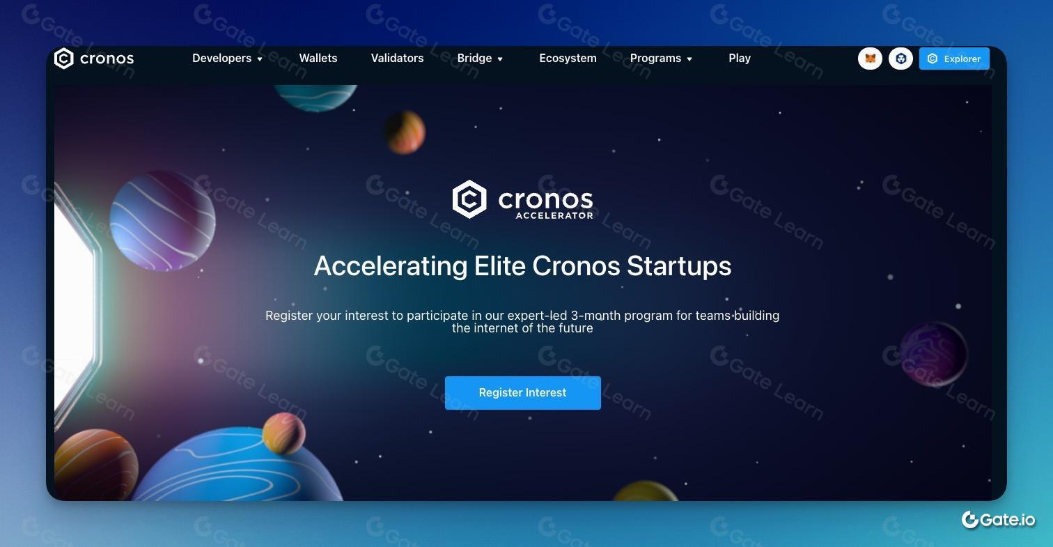 What is VVS Finance? All You Need to Know About VVS