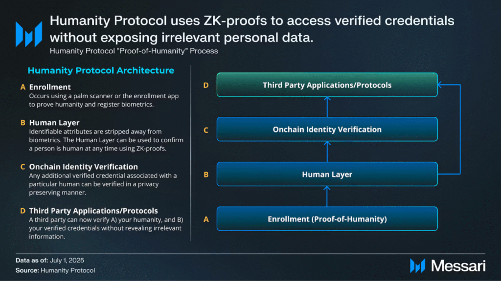 What is Humanity Protocol? Secure Digital Identity Solution with Palm Technology