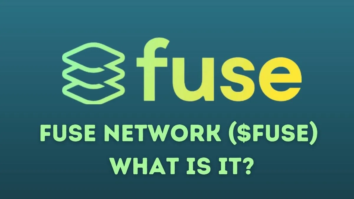 Fuse Network ($FUSE): What is it?