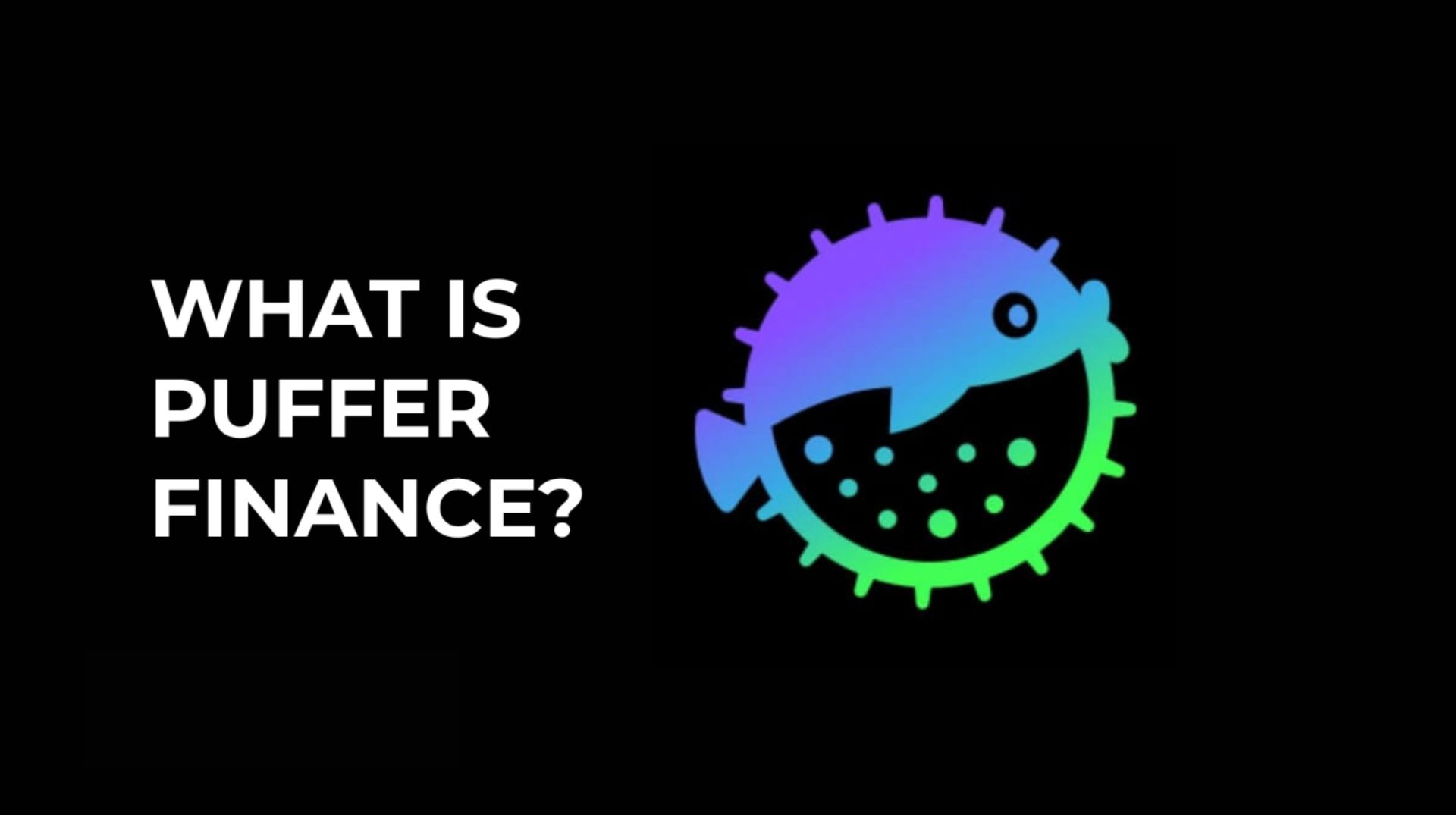 What is Puffer Finance? 5 Things You Need to Know About PUFFER Token