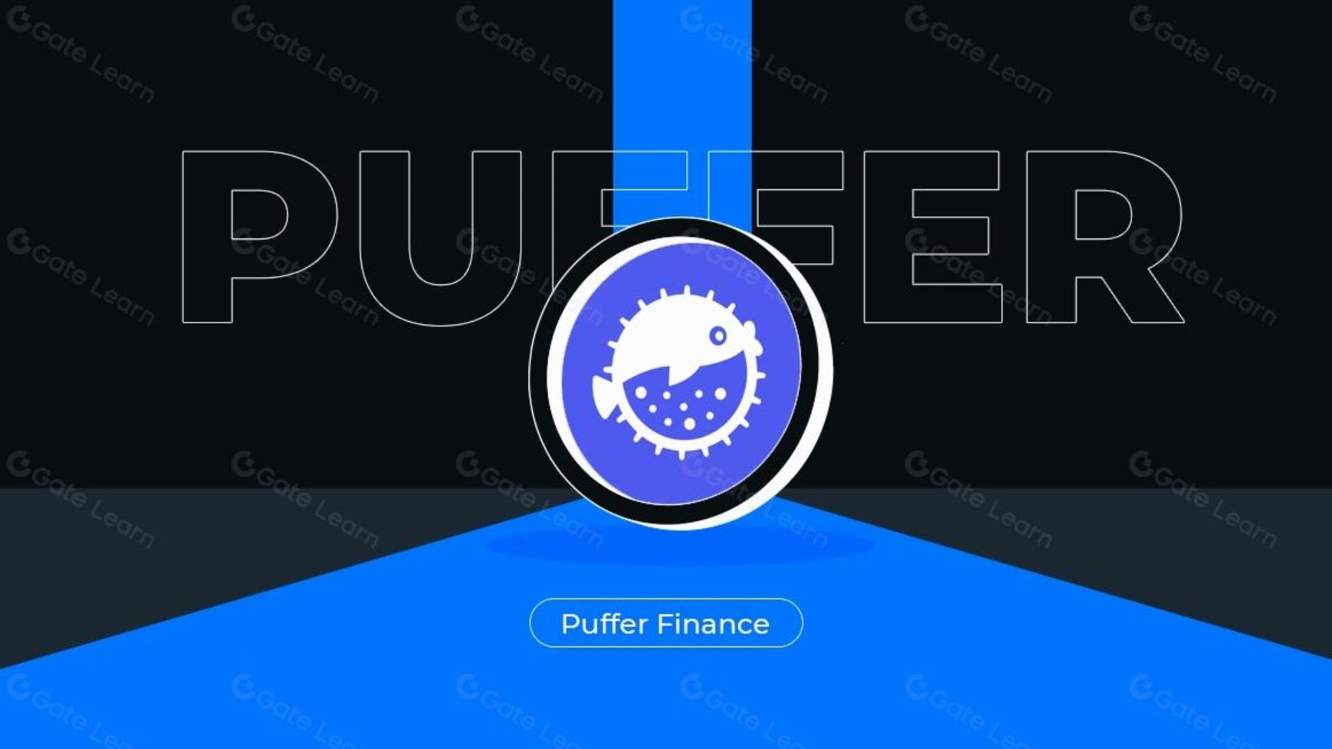 What is Puffer Finance? 5 Things You Need to Know About PUFFER Token