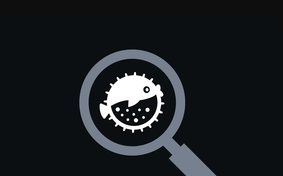 What Is Puffer Finance?