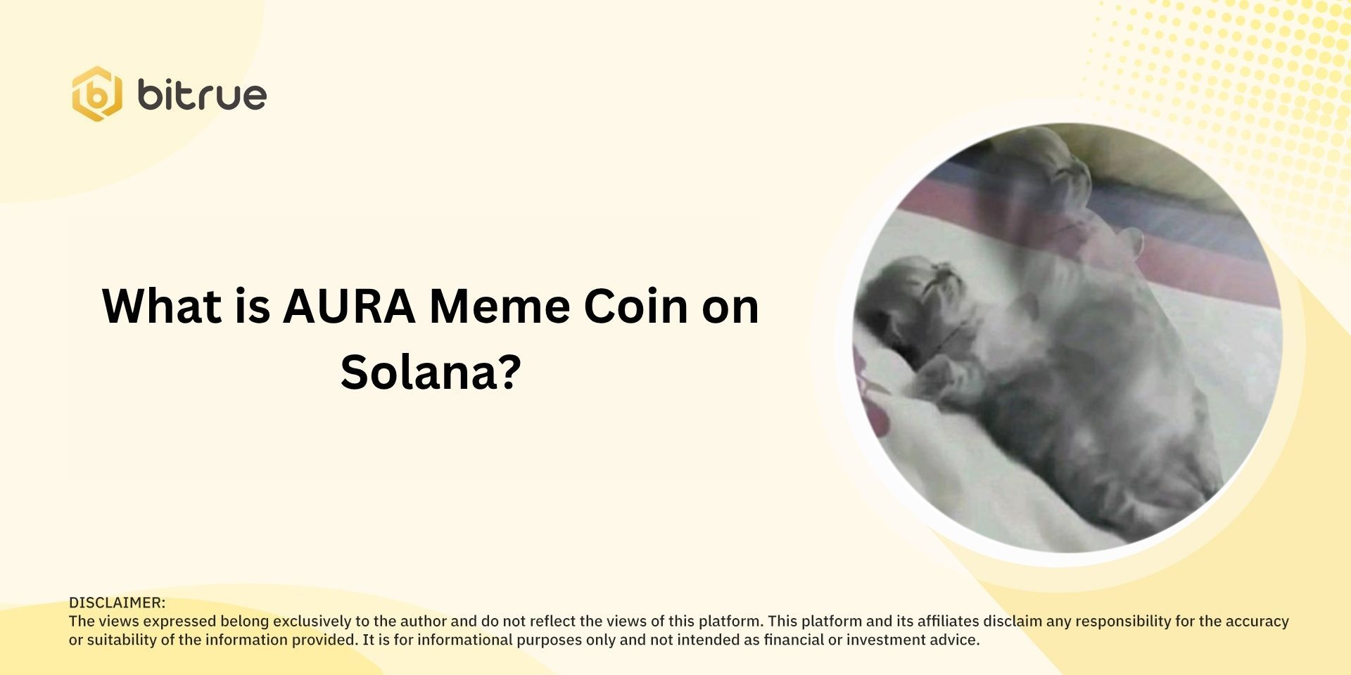 What is AURA Meme Coin on Solana?