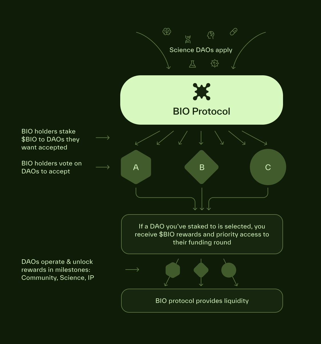 What is BIO Protocol and How to Earn BIO Tokens via Binance Launchpool