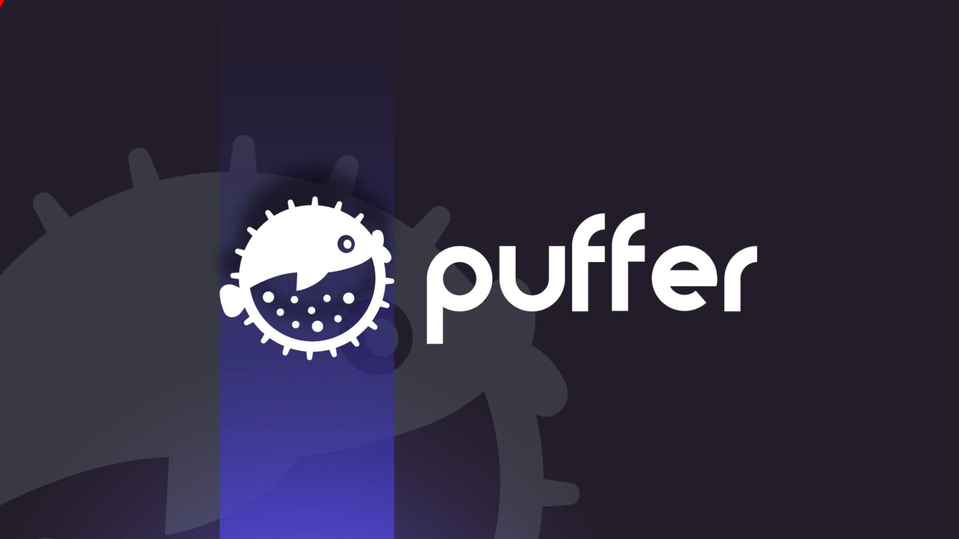 What is Puffer Finance? 5 Things You Need to Know About PUFFER Token
