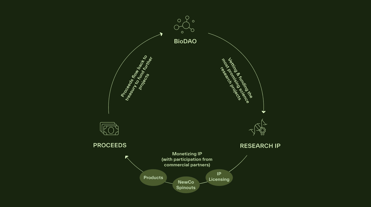 What Is Bio Protocol, the DeSci Crypto Launchpad?
