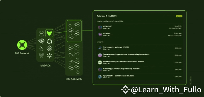 What is BIO Protocol? Information about BIO Token