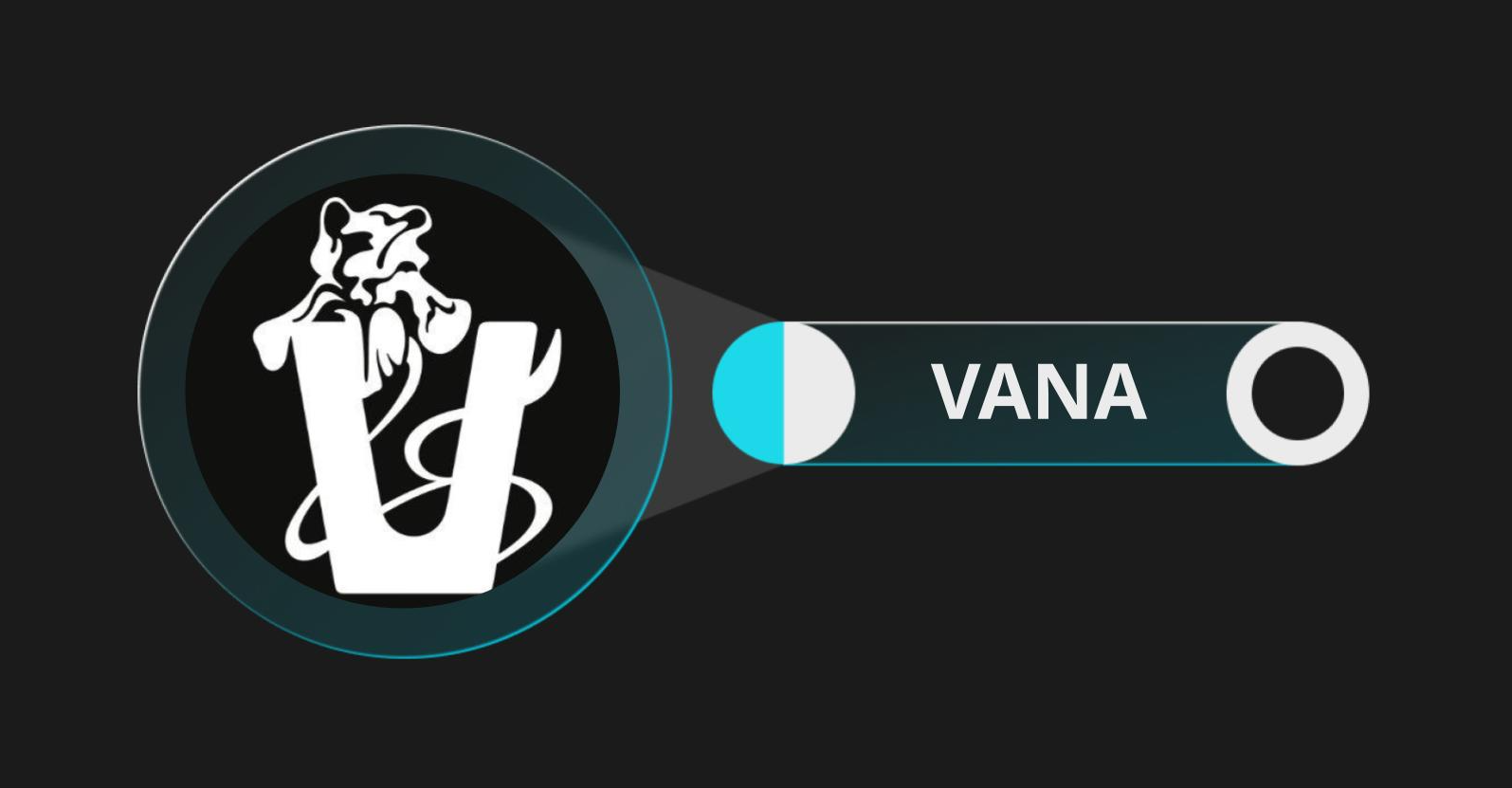 Vana (VANA): Empowering User-Owned Data for the AI Era