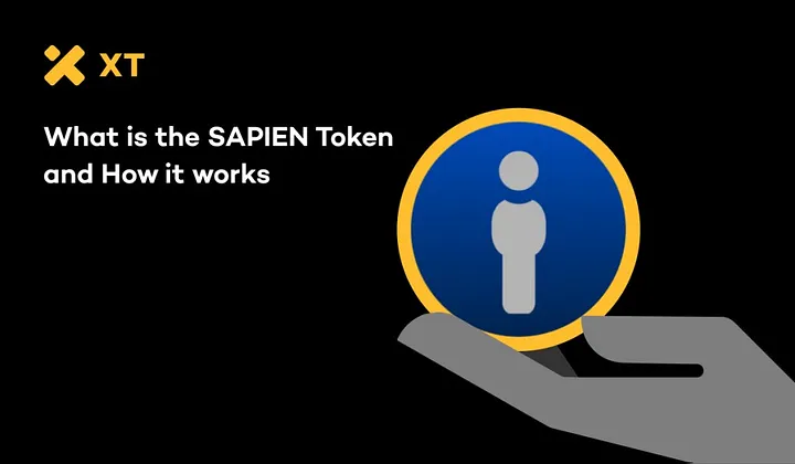 Sapien Explained: How the SPN Token Works Sapien Explained: How the SPN Token Works