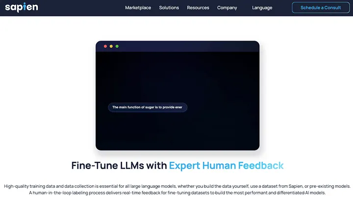Sapien Explained: How the SPN Token Works Sapien Explained: How the SPN Token Works