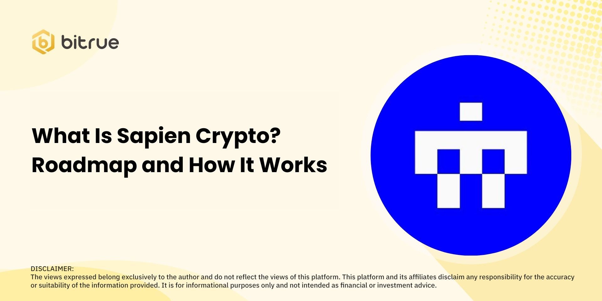 What Is Sapien Crypto? Roadmap and How It Works