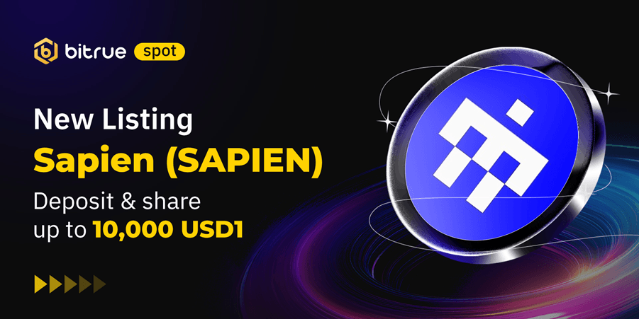 What Is Sapien Crypto? Roadmap and How It Works