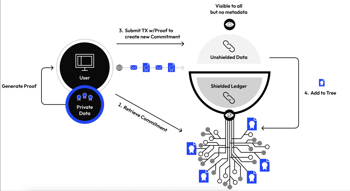 Everything About Midnight (NIGHT) Crypto
