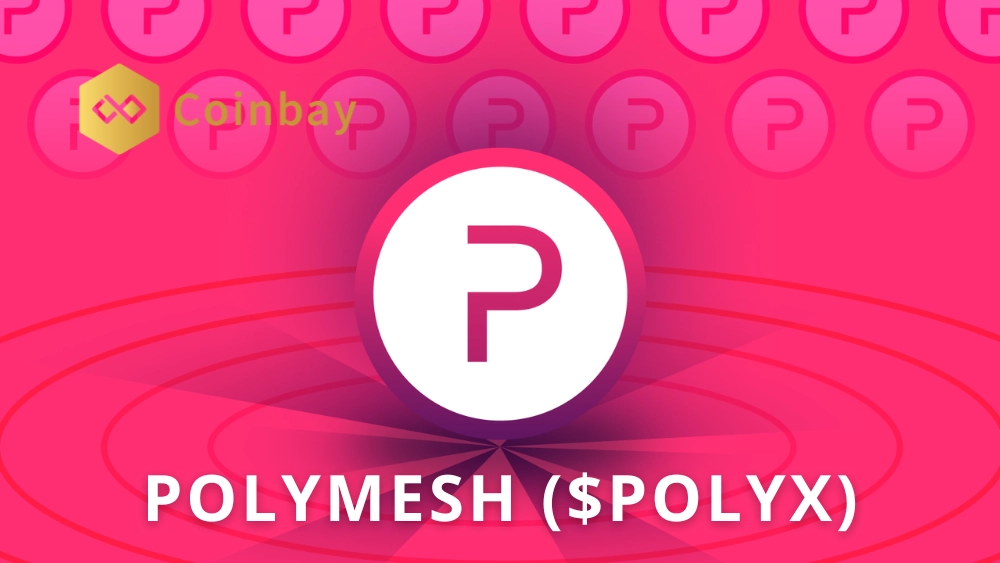 What is Polymesh? Uses of POLYX security token