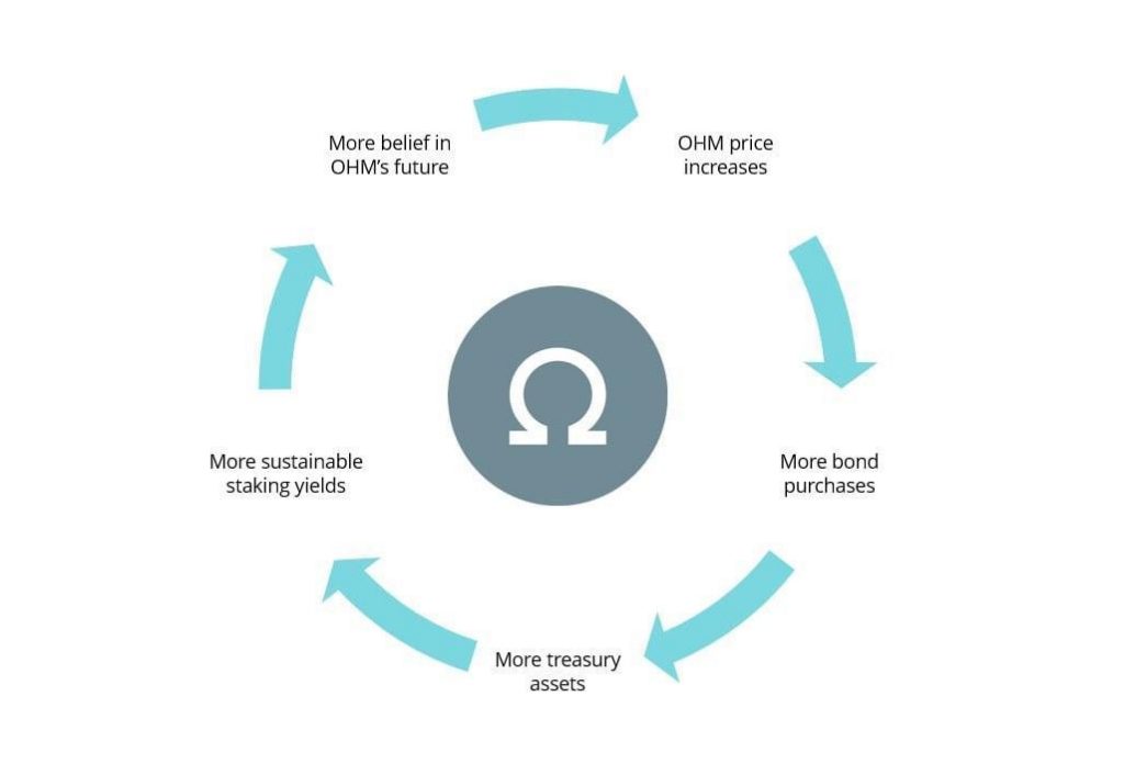 What is Olympus DAO (OHM): A Rising Star in DeFi or a Ponzi Scheme?