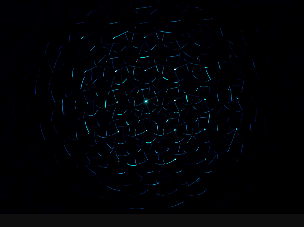 What is the $IMX Crypto Token and How is it Used?