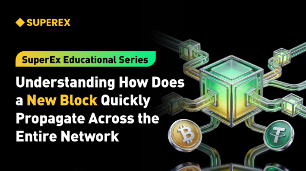 SuperEx Educational Series: Understanding How Does a New Block Quickly Propagate Across the Entire Network