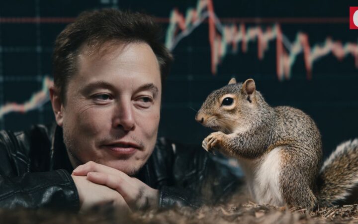 Meme Coin Peanut the Squirrel (PNUT) Rallies After Elon Musk’s Tweet
