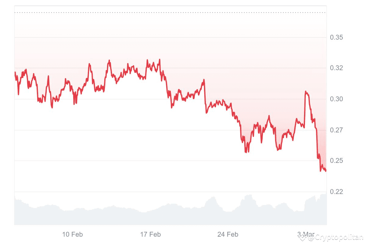 Polygon price prediction 2025-2031: Will POL recover its ATH soon? Polygon price prediction 2025-2031: Will POL recover its ATH soon?