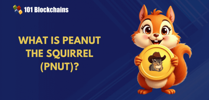 What is Peanut the Squirrel (PNUT) and How Does it Work? What is Peanut the Squirrel (PNUT) and How Does it Work?